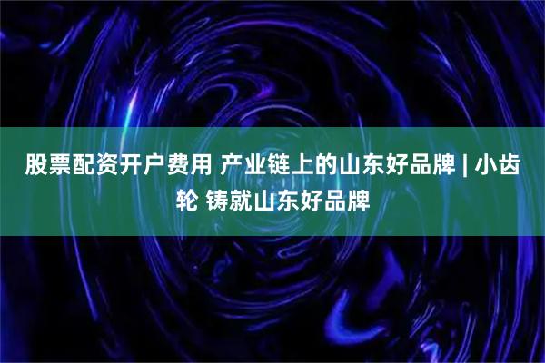 股票配资开户费用 产业链上的山东好品牌 | 小齿轮 铸就山东好品牌