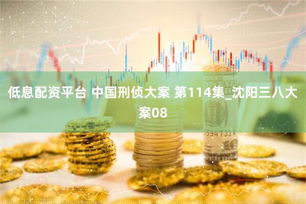 低息配资平台 中国刑侦大案 第114集_沈阳三八大案08